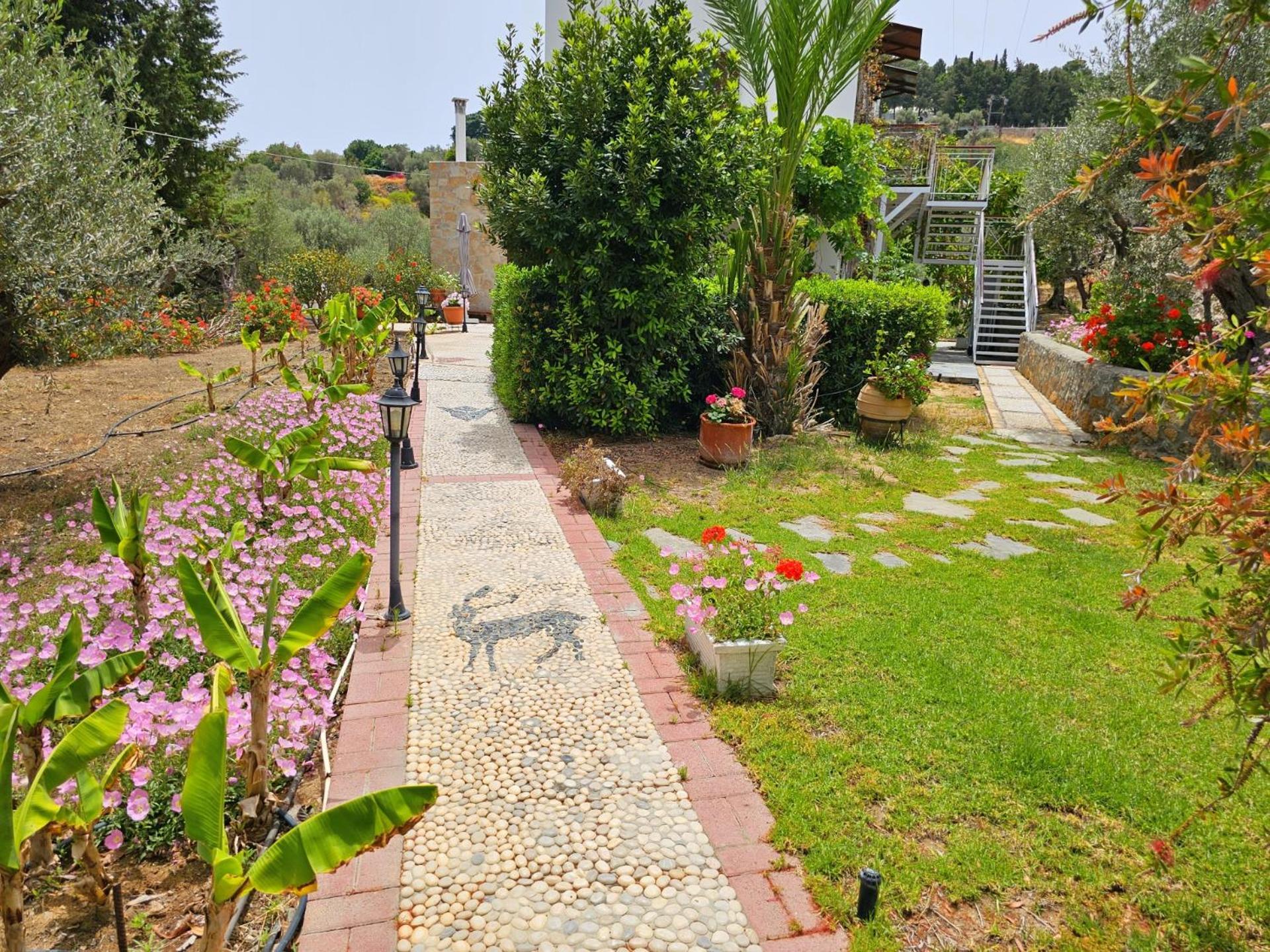 Galini View Apartments Lindos エクステリア 写真