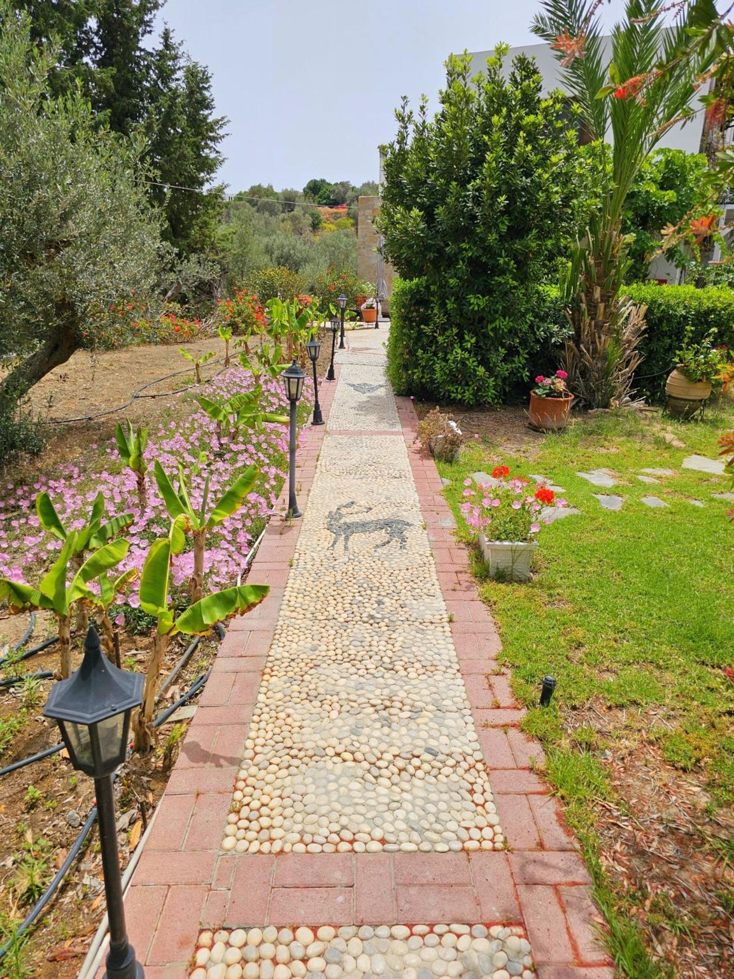 Galini View Apartments Lindos エクステリア 写真