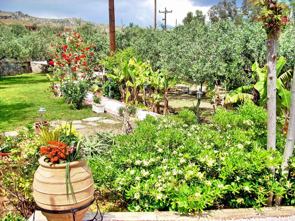 Galini View Apartments Lindos 部屋 写真